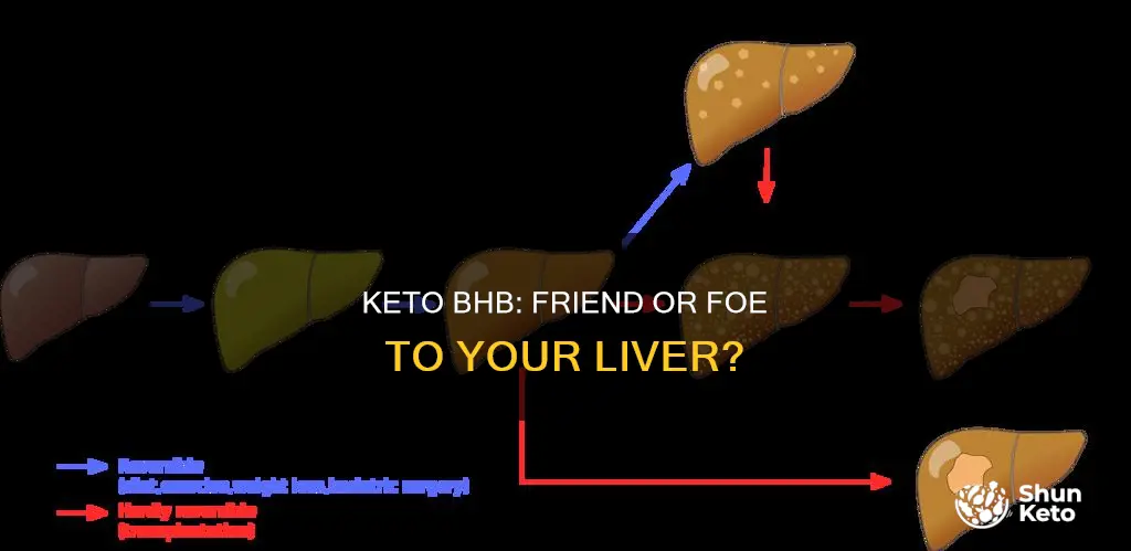 is keto bhb bad for your liver