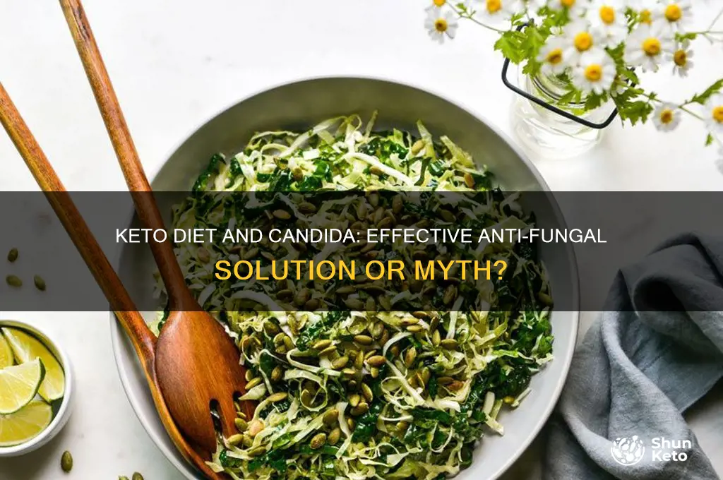 is keto diet anti candida