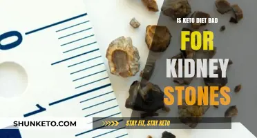 Keto Diet and Kidney Stones: Risks, Prevention, and Healthy Choices