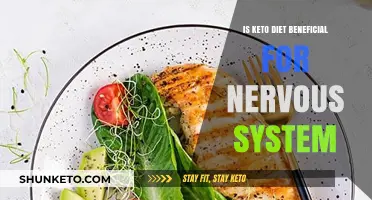 Keto Diet's Impact on Nervous System Health: Benefits Explored