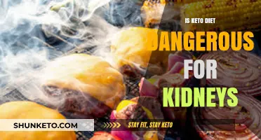 Keto Diet and Kidney Health: Potential Risks Explained