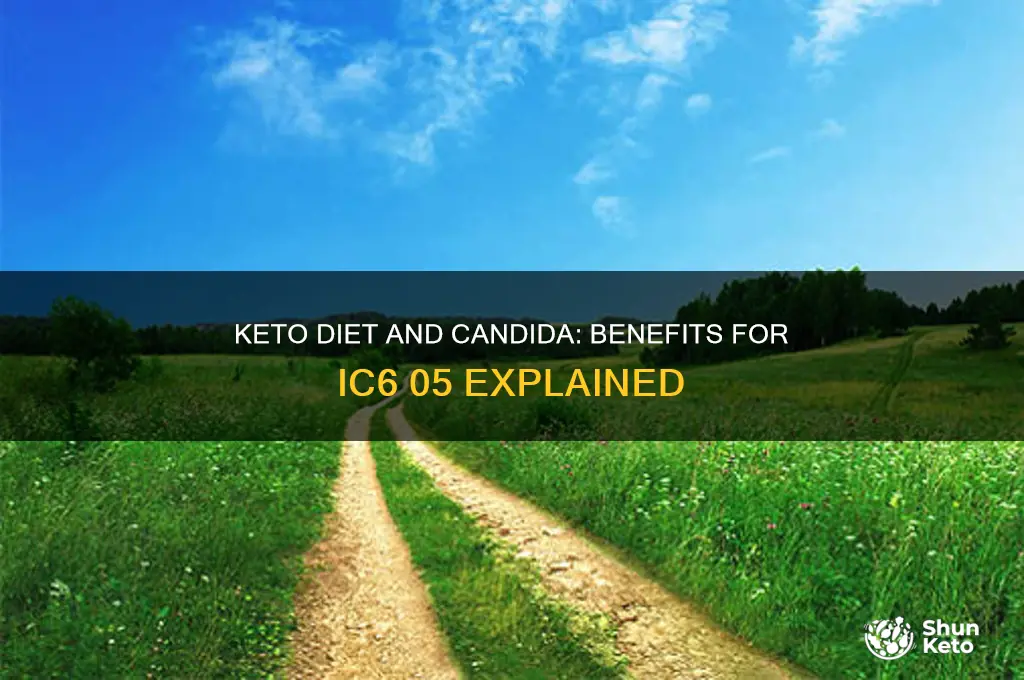 is keto diet good for ic6 05 what-eating-keto-does-to-candida