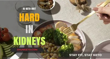 Keto Diet and Kidney Health: Challenges, Risks, and Considerations