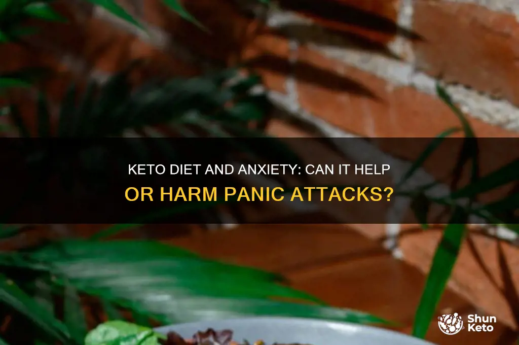 is keto diet healthy for anxiety with panic attacks