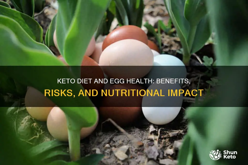 is keto diet healthy for egg health