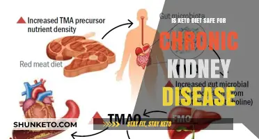 Keto Diet and Chronic Kidney Disease: Safety Concerns Explained