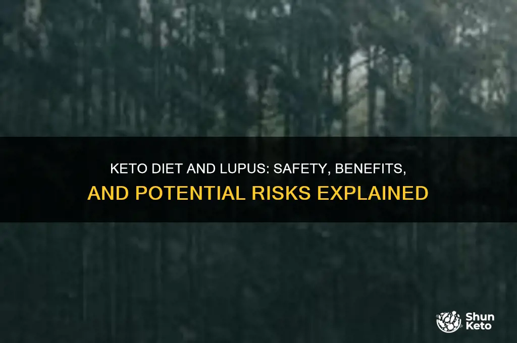 is keto diet safe for lupus patients