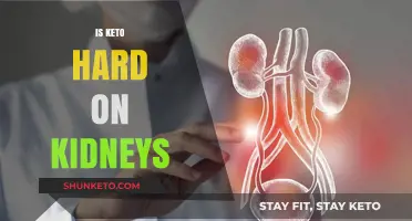 Is Keto Hard on Kidneys? Uncovering the Diet's Renal Impact
