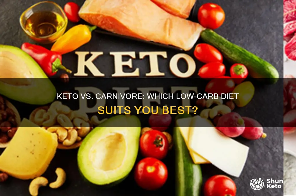 is keto or carnivore diet better