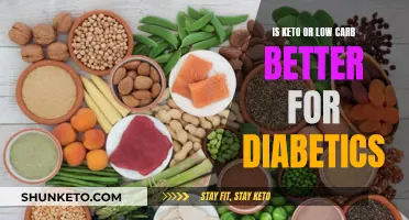 Keto vs Low-Carb: Which Diet is Better for Diabetics?