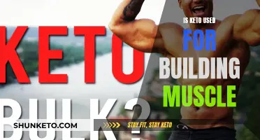 Keto for Muscle Gain: Does It Work?