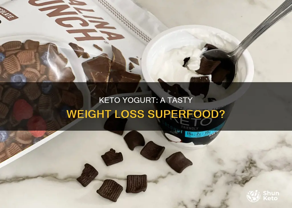 is keto yogurt good for weight loss