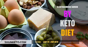 Ketoacidosis and Keto Diet: Unraveling the Connection and Risks