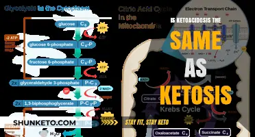 Ketosis vs. Ketoacidosis: Understanding the Key Differences and Risks