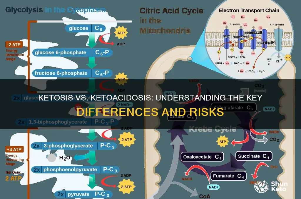is ketoacidosis the same as ketosis