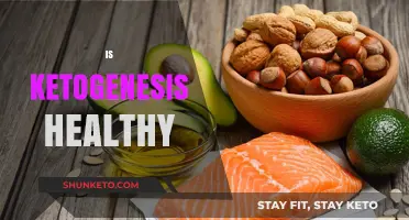 Is Ketogenesis Healthy? Unraveling the Pros and Cons of Ketosis