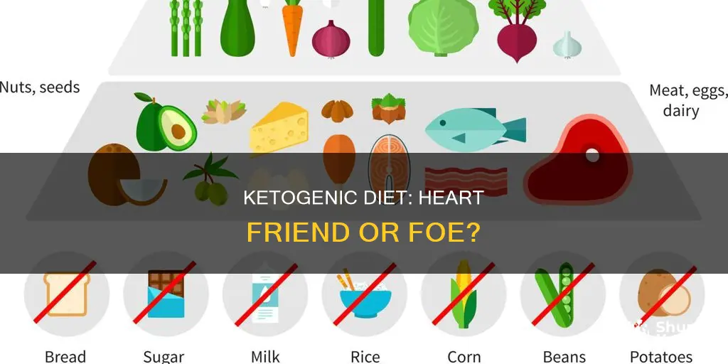is ketogenic diet going to clog arteries