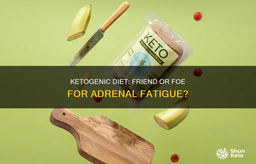 is ketogenic diet safe for adrenal fatigue