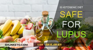Ketogenic Diet: Safe or Risky for Lupus Patients?