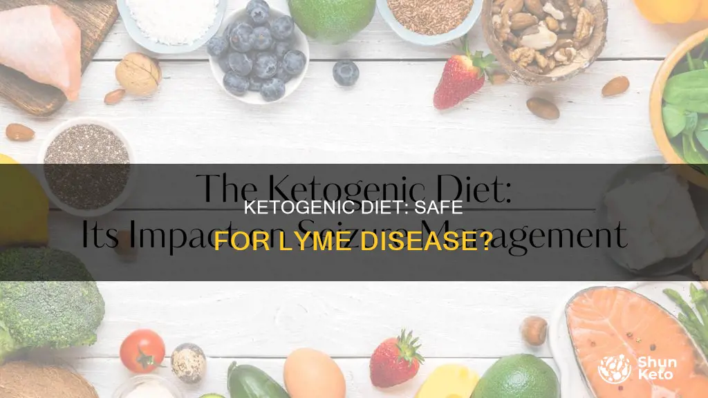 is ketogenic diet safe for lyme disease