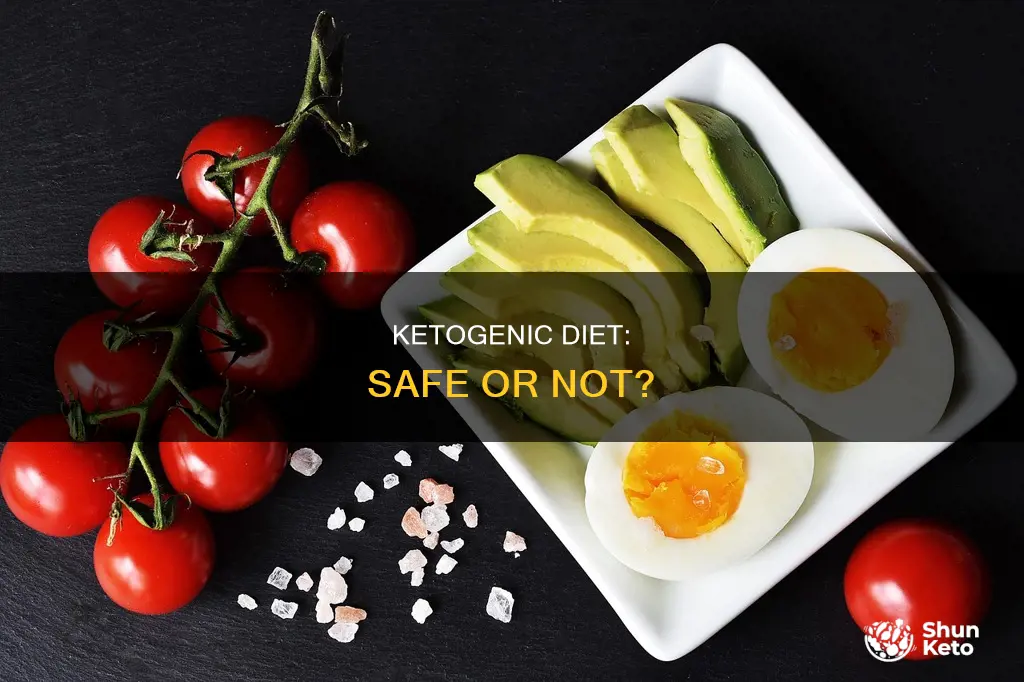 is ketogenic diet safe study
