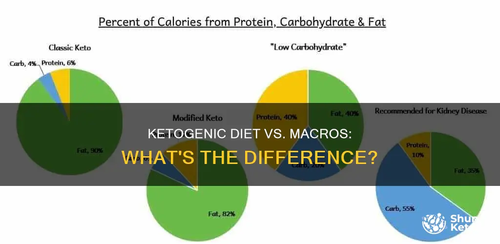 is ketogenic diet the same as macros