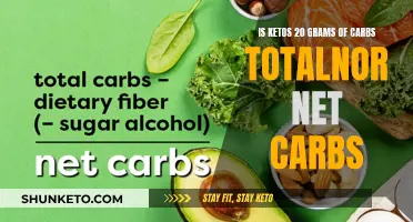 Keto Carb Counting: Total or Net?