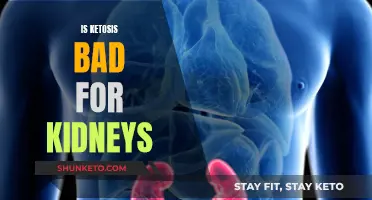 Ketosis and Kidney Health: What's the Real Risk?