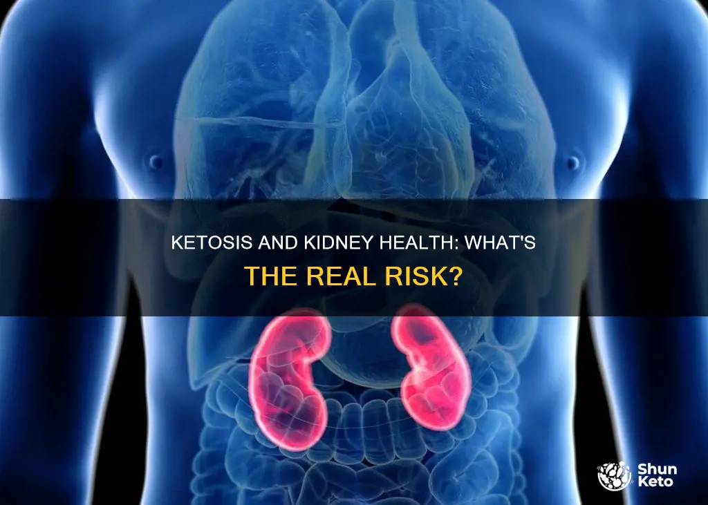 is ketosis bad for kidneys