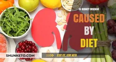 Diet's Link to Kidney Disease: What You Need to Know