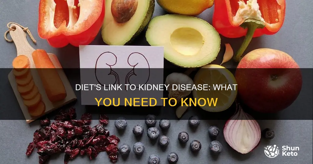 is kidney disease caused by diet