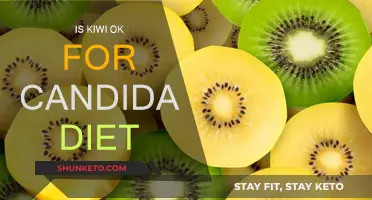 Can You Eat Kiwi on a Candida Diet?