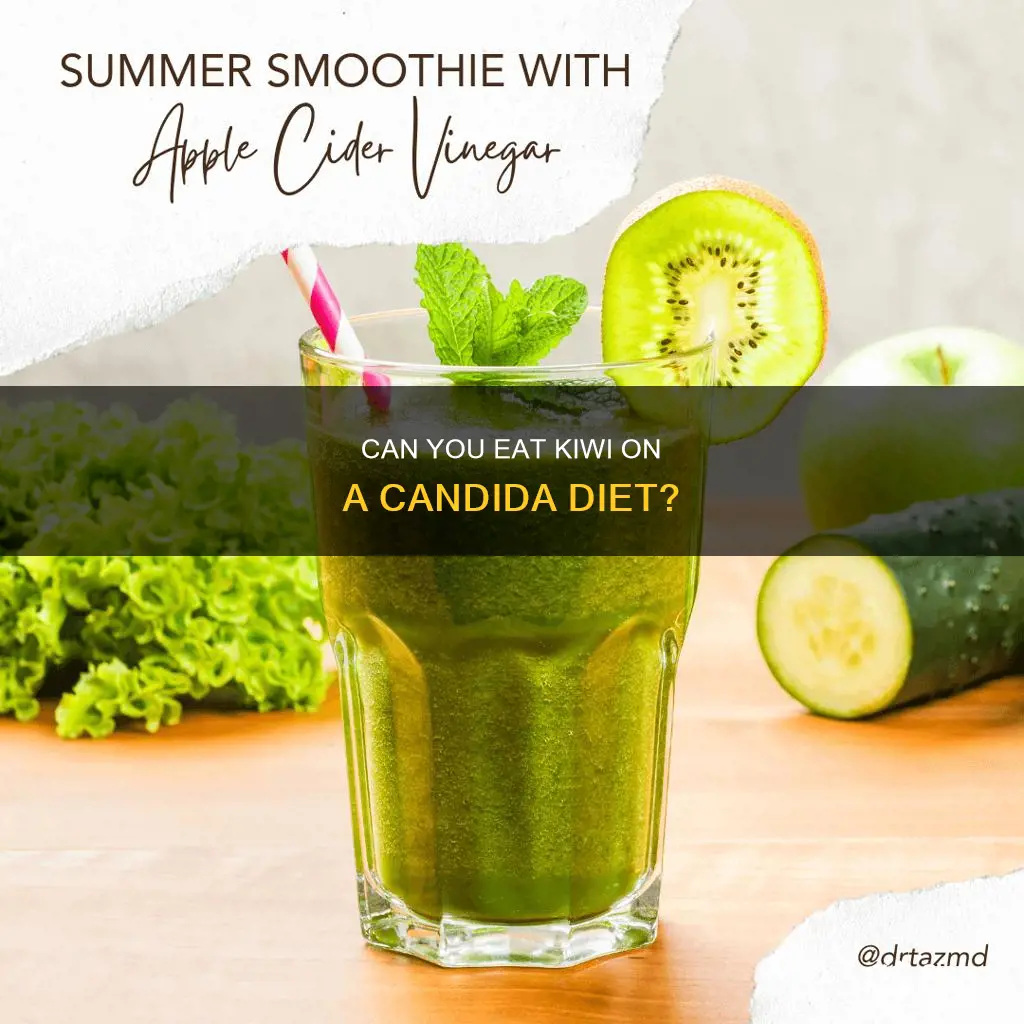 is kiwi ok for candida diet