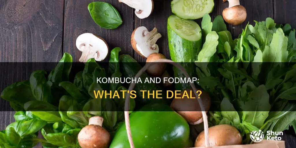 is kombucha allowed on fodmap diet