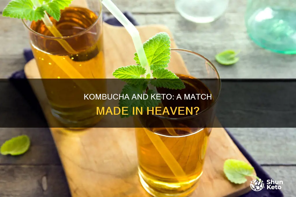 is kombucha keto approved