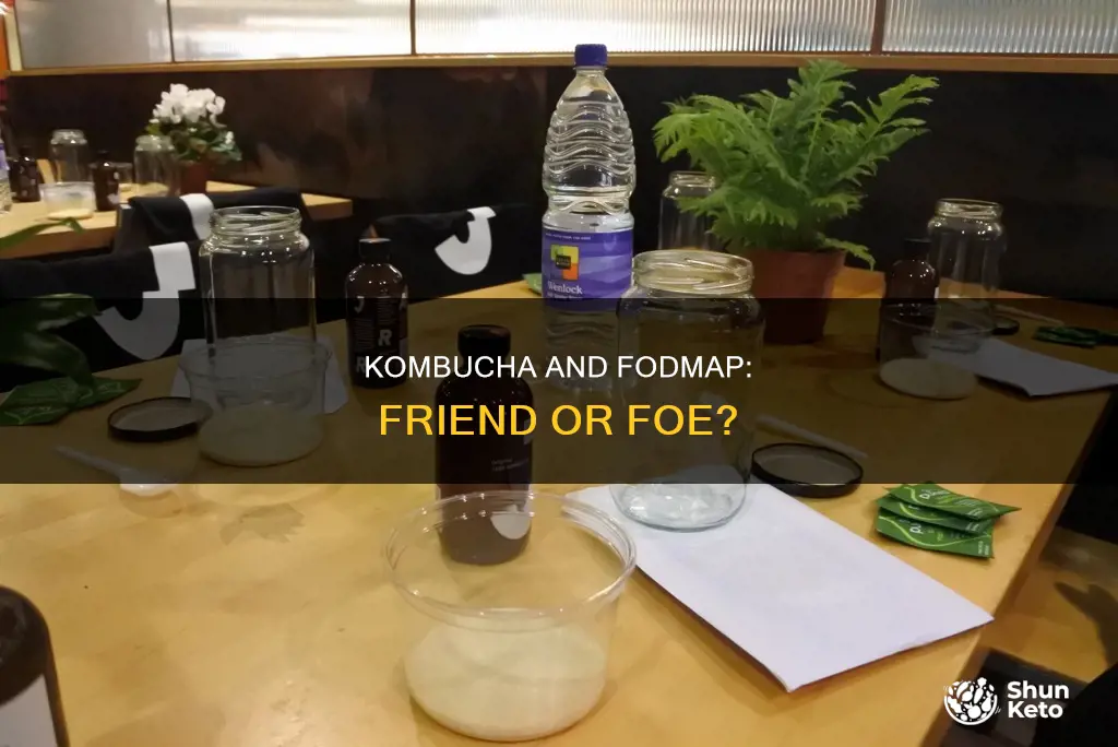 is kombucha ok for fodmap diet
