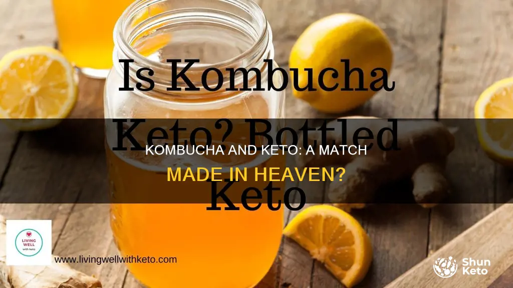 is kombucha ok to drink on ketp diet