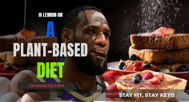 LeBron's Plant-Based Diet: A Champion's Nutrition