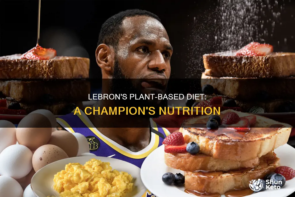 is lebron on a plant-based diet