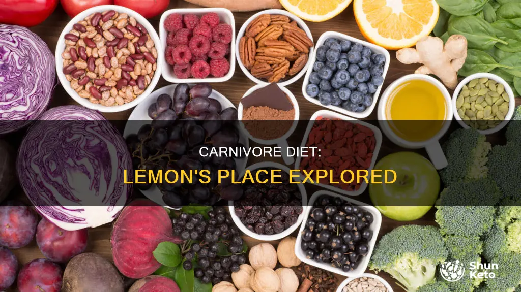 is lemon allowed on carnivore diet