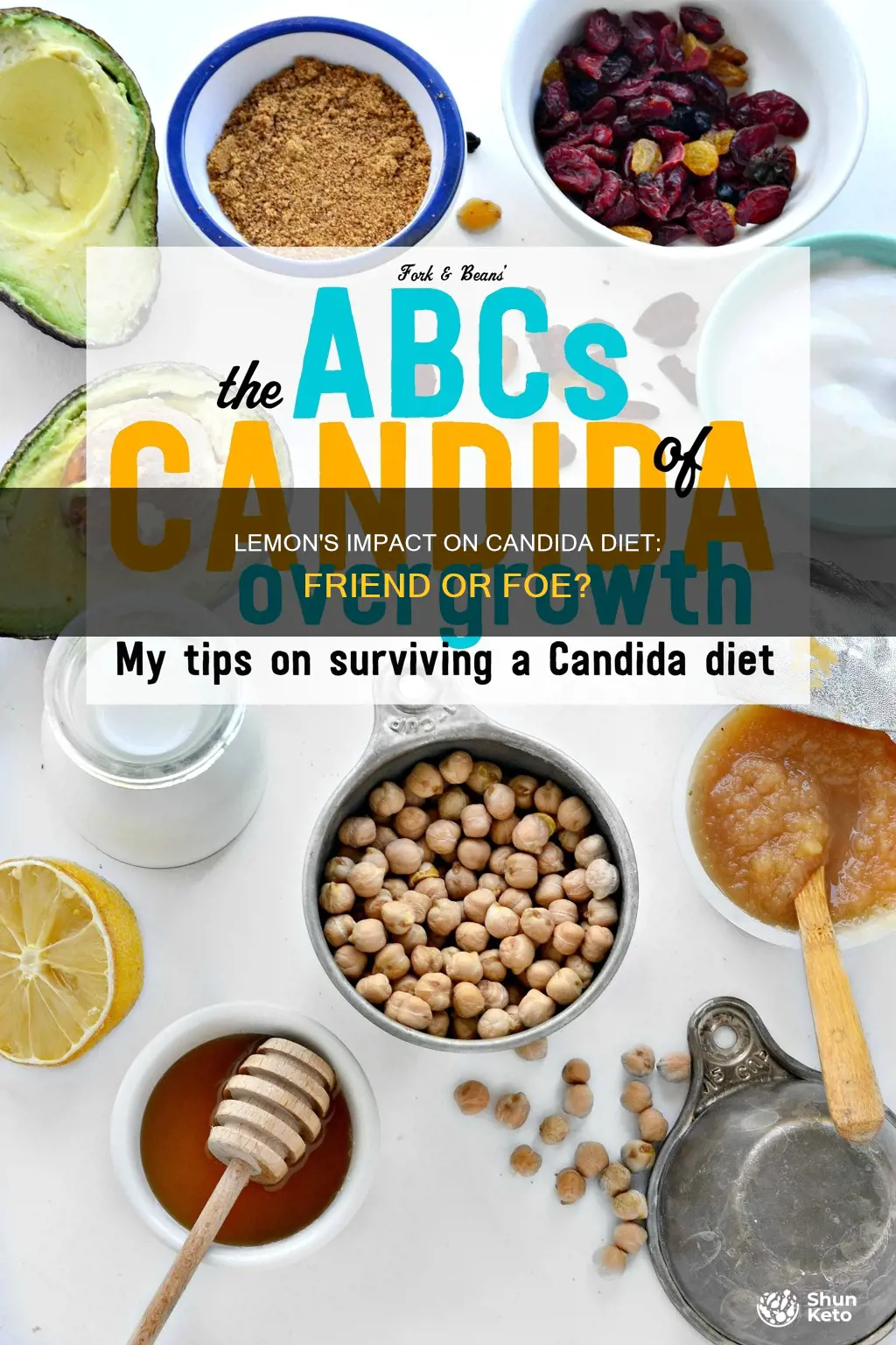 is lemon ok for candida diet