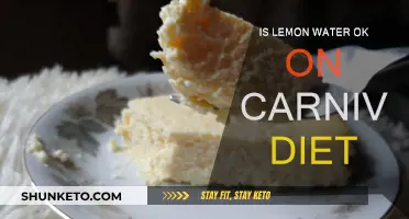 Lemon Water: Friend or Foe on Carnivore Diet?