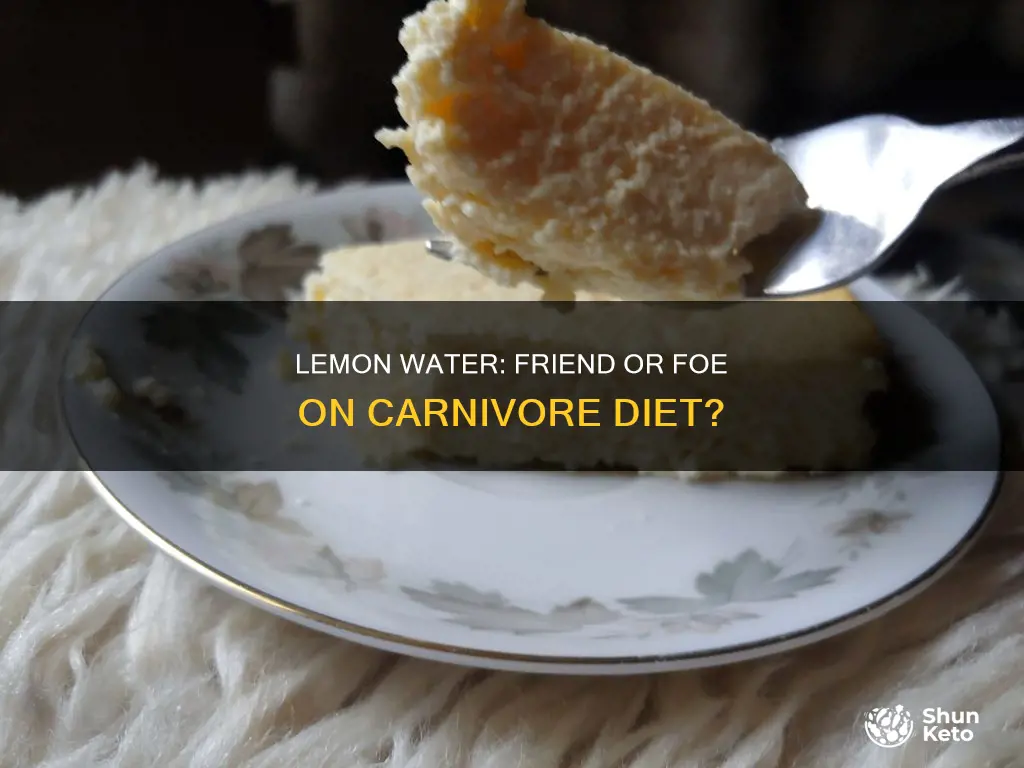 is lemon water ok on carnivore diet