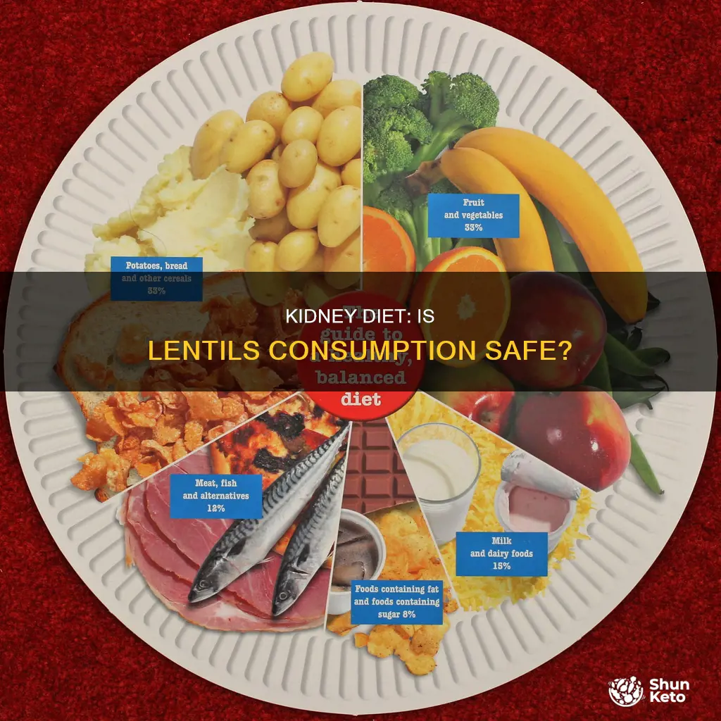 is lentals kidney diet ok