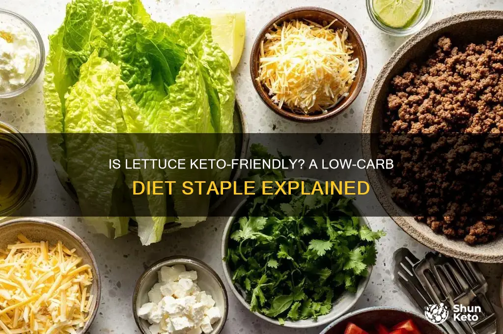 is lettice keto