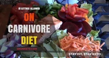 Carnivore Diet: Is Lettuce Allowed or Not?