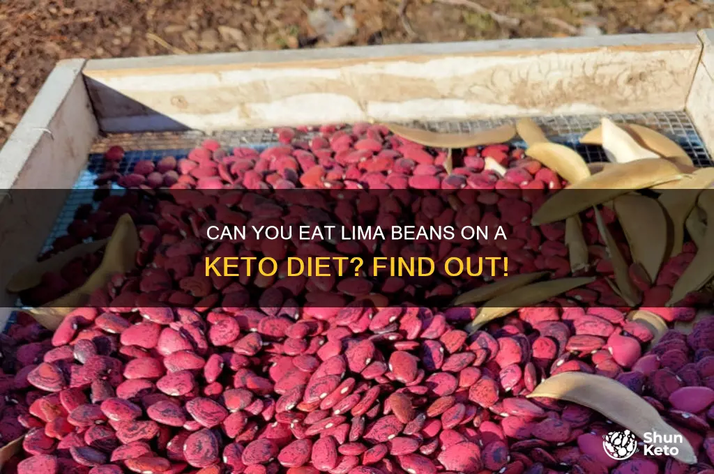 is lima beans on keto diet