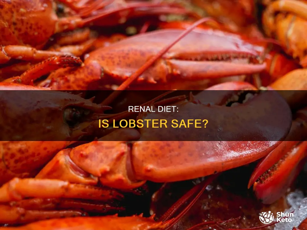 is lobster ok on renal diet