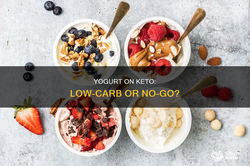 is low carb yogurt keto