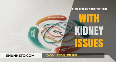 Keto and Kidney Health: Risks of Low-Carb Diets Explained